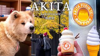 Akita: The Other Side of Japan | Fall Leaves, Samurai Town, & #1 Purin