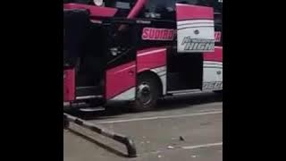 Download lagu Dj sayur kol versi bus mania