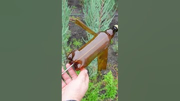 Kiat Berkebun dari Botol Plastik: Pengusir Burung & Tikus Mondok Buatan Sendiri! #shorts #diy #skills #tips