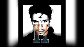 Principles of Combustion (Official Audio)