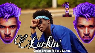 Chris Brown - Lurkin' ft. Tory Lanez (official music Dance video)