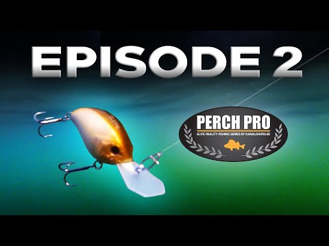 PERCH PRO 8 - Episode 2 (Deutsche untertitel)