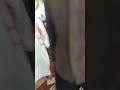 ميدان الغزال عشيرة الرفيعين ٢٠١٩ ٢١ ٩ ميدان الغزال عشيرة الرفيعين ٢٠١٩ ٢١ ٩