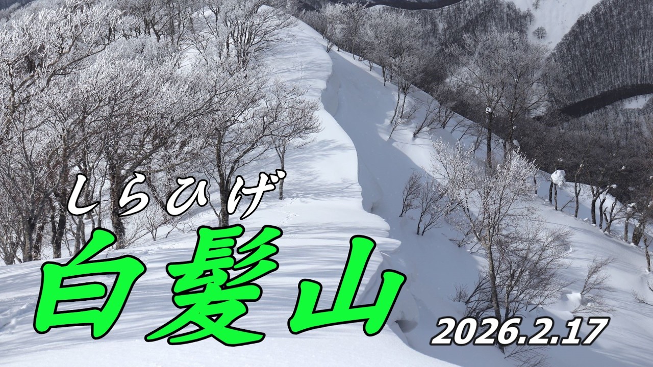雪庇を眺めながら白髪山  2026.2.17