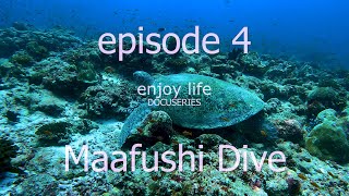 Maafushi Dive - enjoy life docuseries - Maldives - #familyvlog episode 4