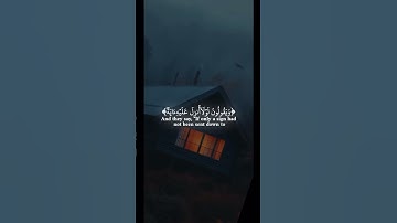 قرآن كريم |وماكان الناس الا امة واحدة| عبدالرحمن مسعد