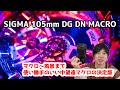 SIGMA 105mm F2.8 DG DN macro 中望遠マクロの決定版