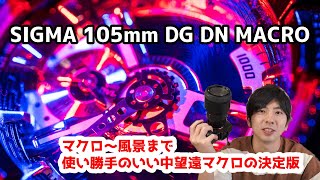 SIGMA 105mm F2.8 DG DN macro 中望遠マクロの決定版