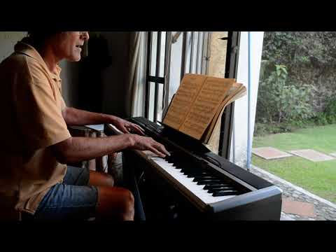 Brahms, op 76 #6, David Ball, piano Casio px-320 Privia, amateur version