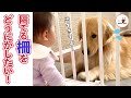 早くソコから出ておいでよ〜|PECO