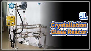 5L Jacketed Glass Crystallization Filter Reactor - LABOAO