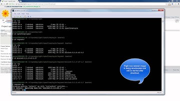 Running VMs with Mininet on OpenDaylight