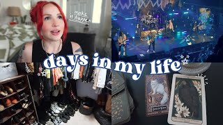 VLOG | Photographing a Concert, Closet Declutter &amp; Daily Routines