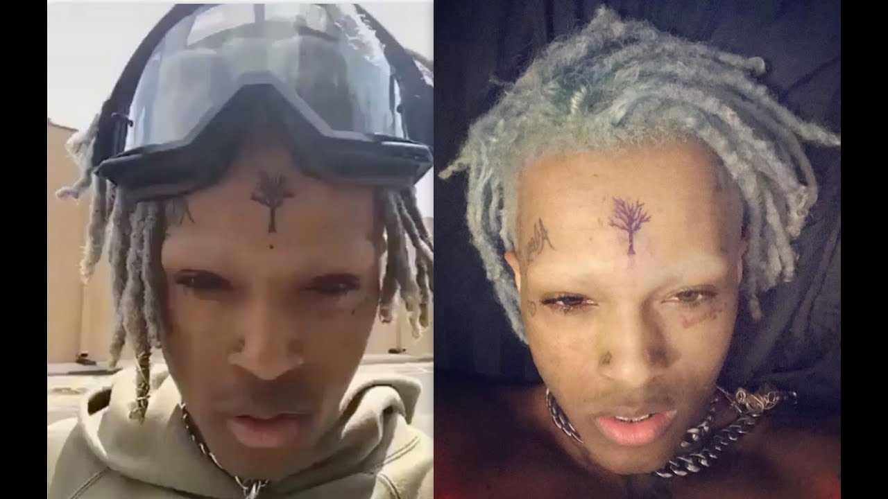 what is on xxxtentacion head tree of life youtube