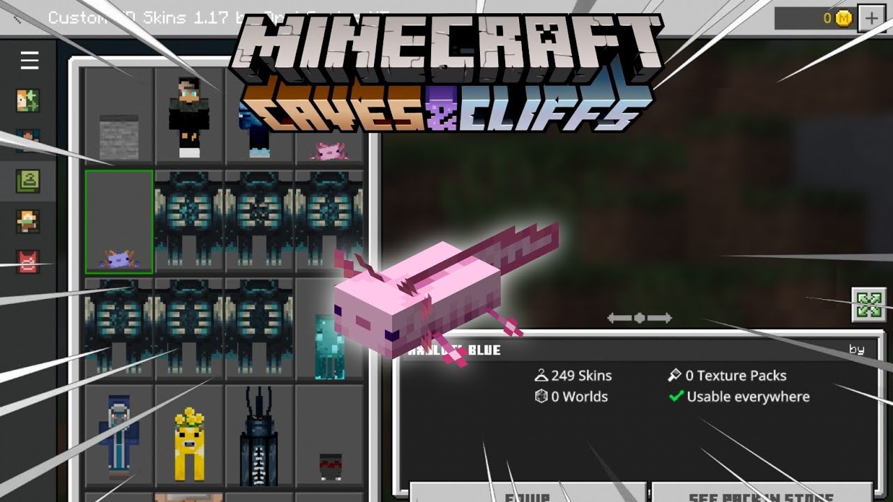 Halt doors Minecraft Mob Skin