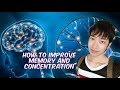 How to improve memory and concentration   memory concentration brain