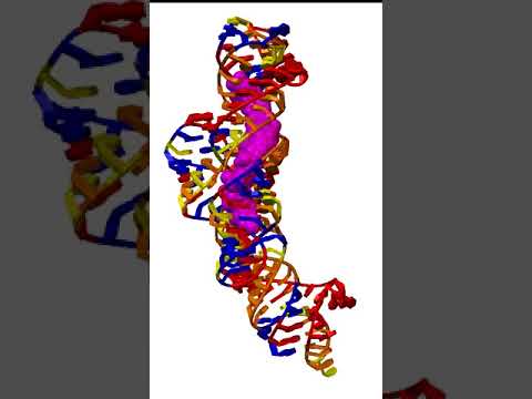 Video: Pitkän Koodaamattoman RNA MALAT1: N Kliininen Patologinen Ja Prognostinen Merkitys Ihmisen Syöpissä: Katsaus Ja Metaanalyysi