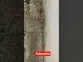 breek wall concrete no exhaust #concrete