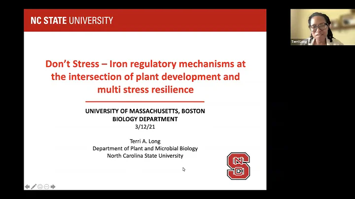 Don't Stress - Iron regulatory mechanisms at the i...