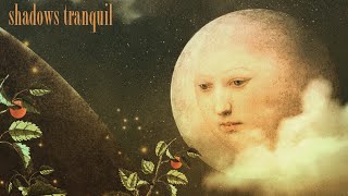 Shadows Tranquil “Sundowner” Visual teaser