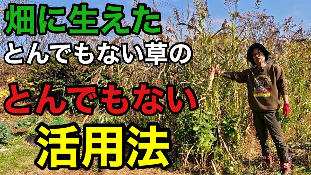 Amazing] This will improve the ○○ in your fields that you've