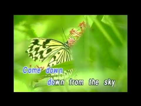 08. Big Butterfly [OFFICIALS]