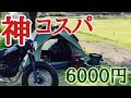 【バイク女子】税込6000円⛺️激安ワンタッチテントの実力とは🔰コスパ最強テント"キャンプ女子"