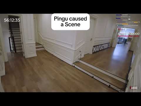 Pingu needs to