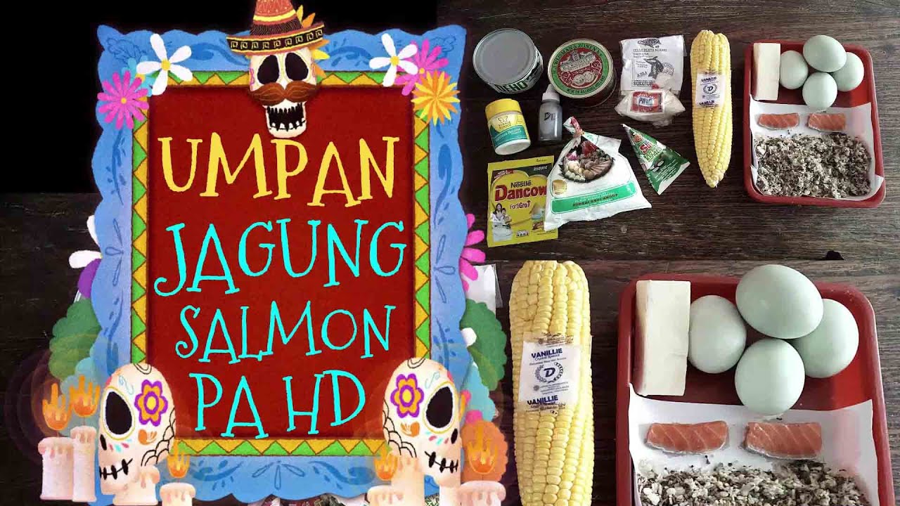 Umpan Jagung Salmon Pa HD