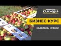 Бизнес-курс. Садоводы Кубани: сложности 2020-года и результаты