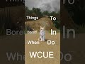 Things To Do In WCUE | #shorts #wcue #tips #warriorcats #gaming