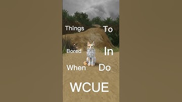 Things To Do In WCUE | #shorts #wcue #tips #warriorcats #gaming