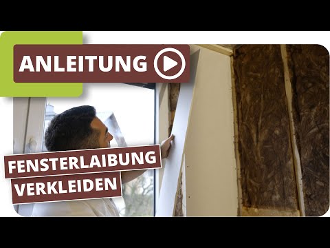 Video: Eine Menstruationsschüssel kaufen: 3 Schritte (mit Bildern)