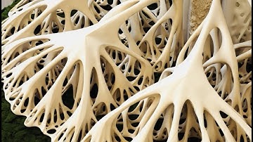 UABB2025 | Computational Biophilia | Documentation