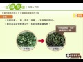4 2茶葉製造關鍵程序介紹
