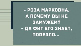 - Роза Марковна, а почему вы не замужем? Смех! Юмор! Позитив!