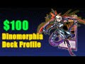 BUDGET Dinomorphia Deck Profile (June 2025)!
