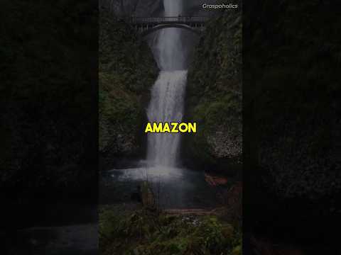 Video: Amazonės augalai ir gyvūnai