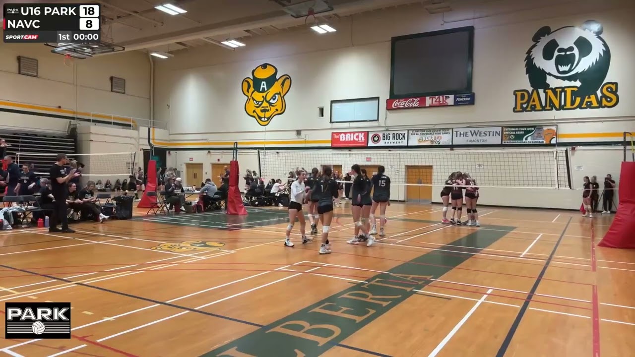 16U White - BSS Gold Medal Final vs NAVC