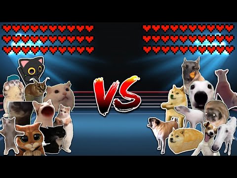 10 Cats vs 10 Dogs! Meme battle