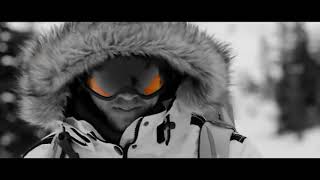 Soulfly - Feeling