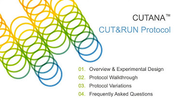 CUT&RUN Protocol Walk-through | EpiCypher CUTANA™ CUT&RUN Assays