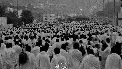 سورة البقرة.  الحج اشهر معلومات ♥️