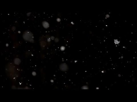 Beachfront B-Roll: Snow Falling (Free to Use HD Stock Video Special Effects)
