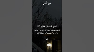 { فَلَا یَحۡزُنكَ قَوۡلُهُمۡۘ } #قرآن #القرآن_الكريم #سورة_يس #القارئ #مشاري_العفاسي #quran [part10]