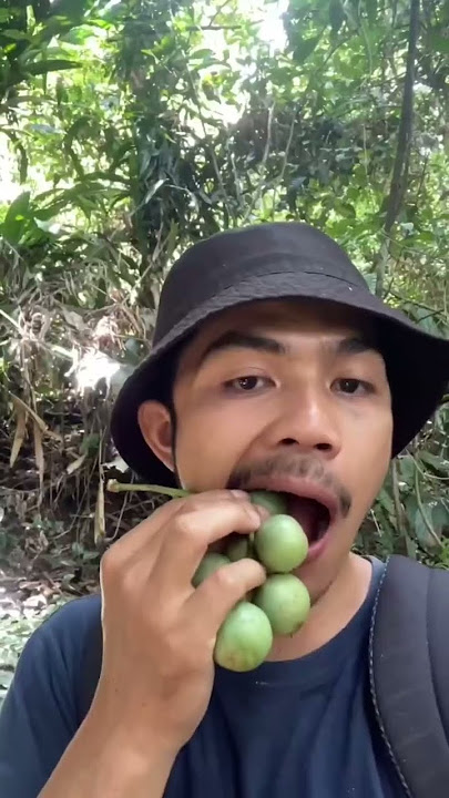 Bertahan hidup dihutan dengan buah liar