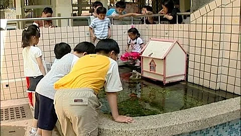 【綠色學校系列】打造生態校園 (我們的島 第319集 2005-08-29) - 天天要聞
