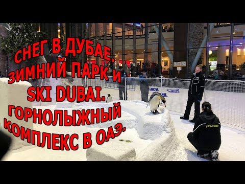 Снег в Дубае|Зимний парк и Ski Dubai