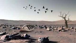 Mars Perseverance Rover Send Mars Planet Real Video - Sol 1050 | Mars 4k Video | Mars 4k