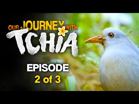 Our Journey With Tchia | Ep. 2/3 - The Place